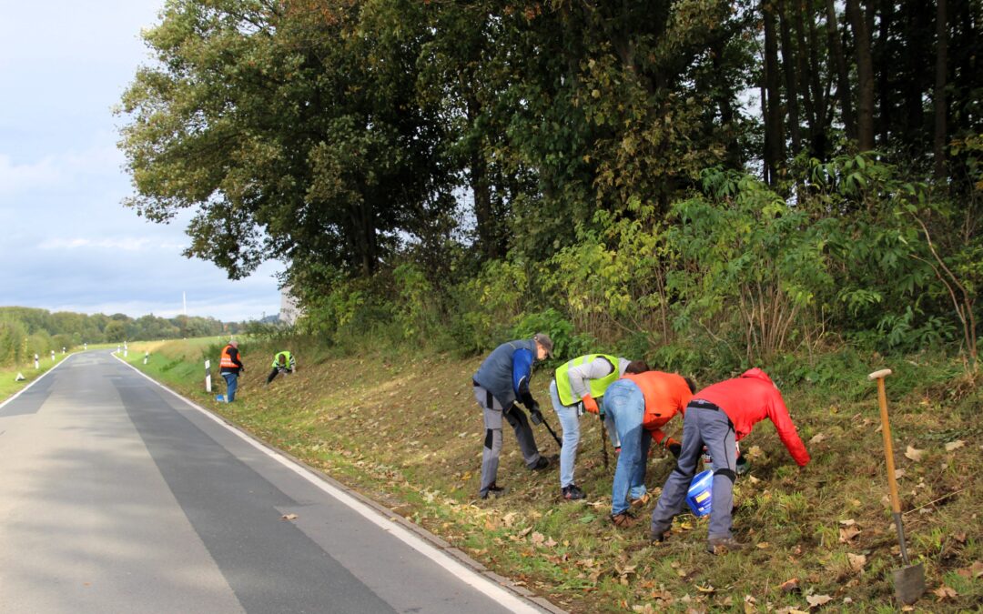 Gemeinsam haben wir Spaß und machen unser Dorf schön